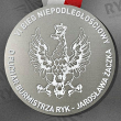 Medal VI Biegu Niepodległościowego